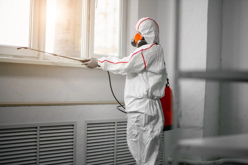 Professional mold remediation services in Courtland, MN